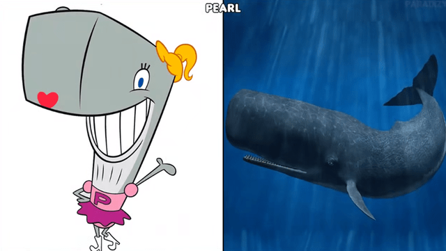 《海绵宝宝》现实版,蟹老板和凯伦本色出演,海绵宝宝让人害怕