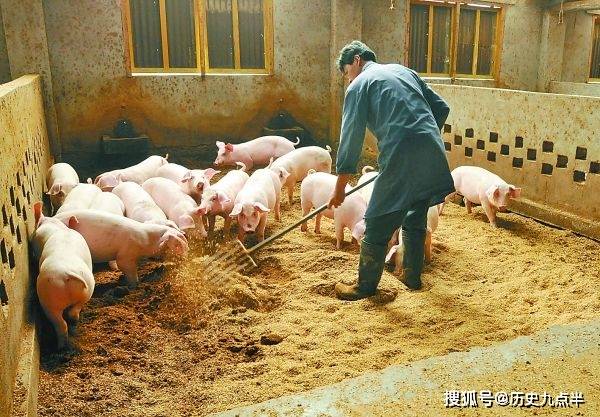 中国汉字的“家”,为何是“房里养猪”,而不是“房里住人”?-搜狐大视野-搜狐新闻