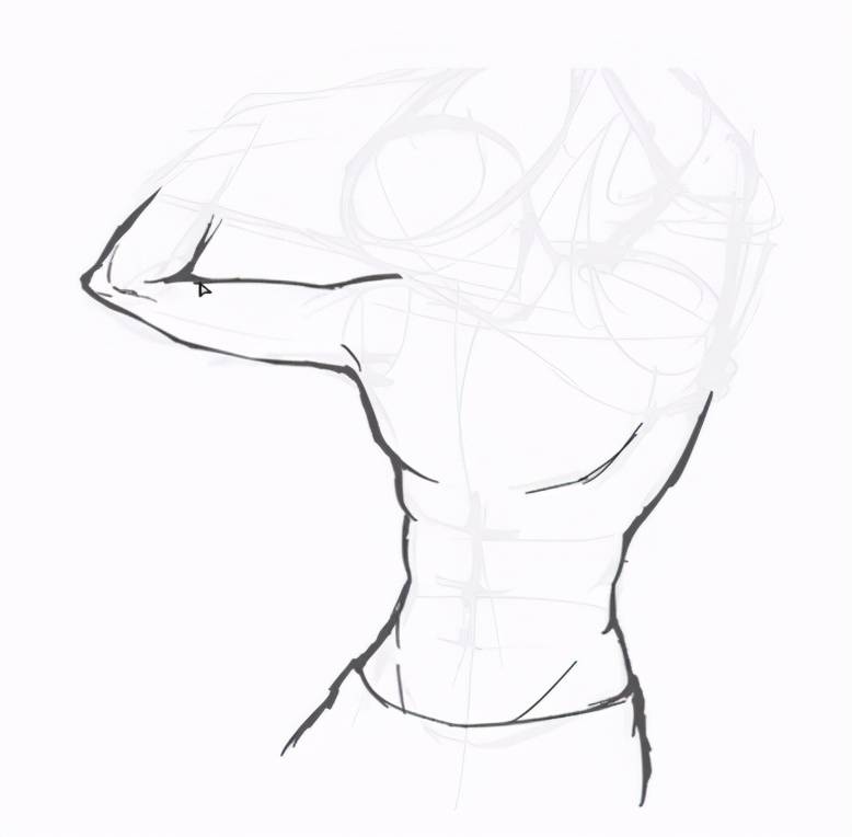 新手正确练习人体肌肉线条教程_手机搜狐网