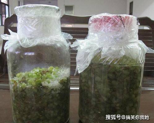 葡萄酒的做法自酿全过程(葡萄酒的做法自酿全过程视频)