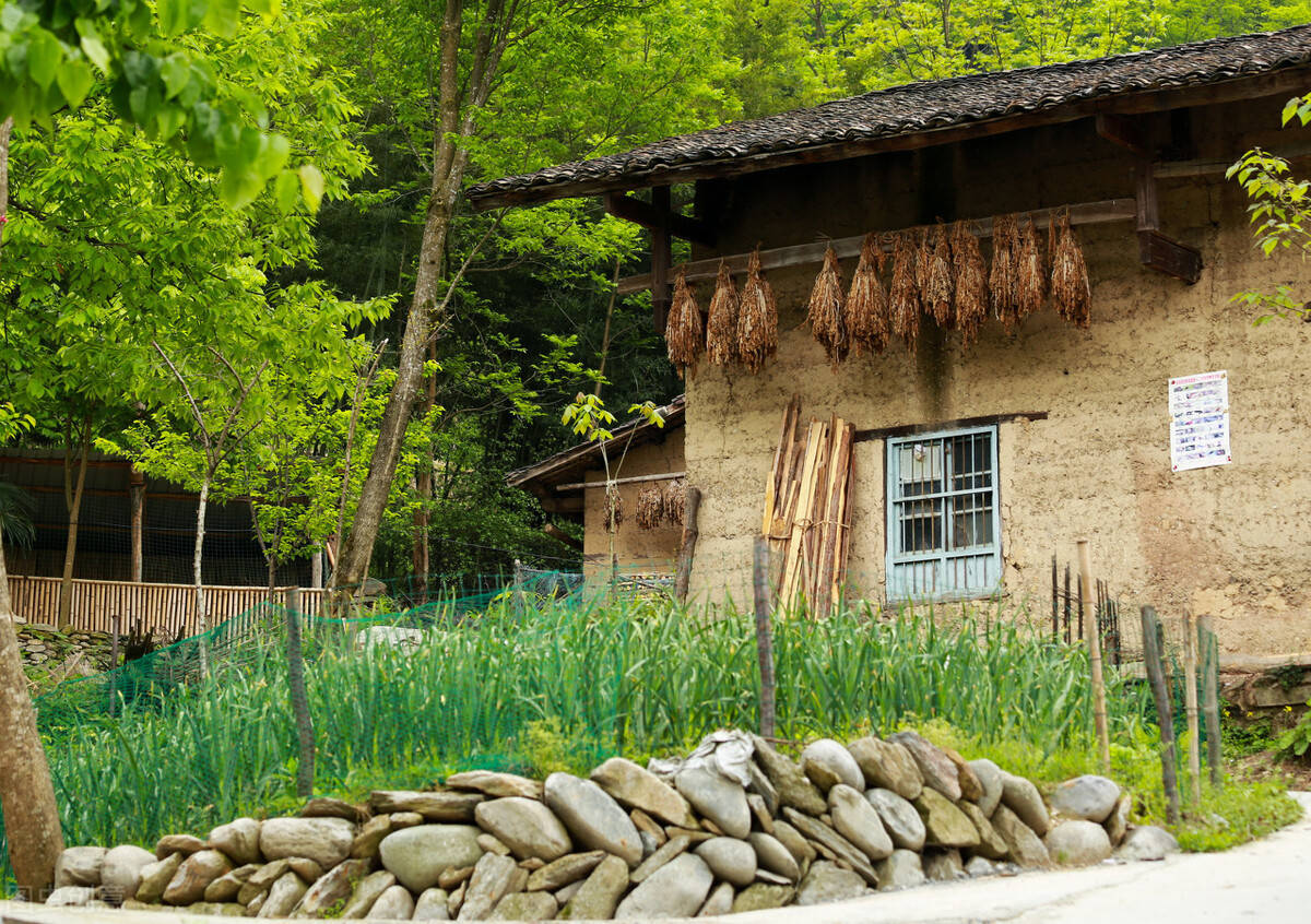 有人说在农村看到谁家房屋越破旧,谁家就越有本事,啥道理呢?_房子