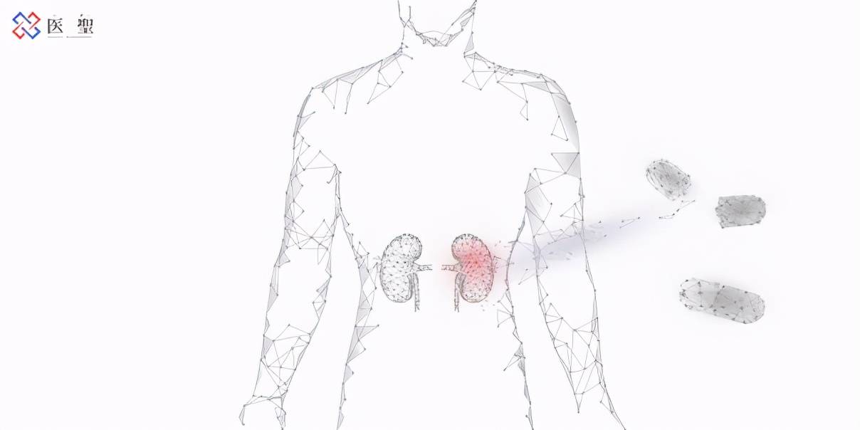 红细胞|ISEI日本干细胞—脂肪由来间充质干细胞治疗急性肾炎