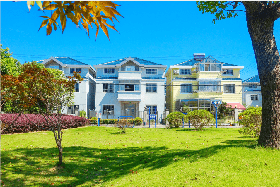 她见证浦东这个村的乡村振兴之路_新南村