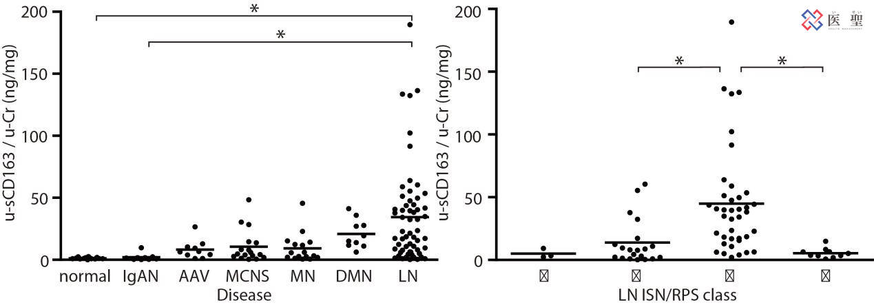 红细胞|ISEI日本干细胞—脂肪由来间充质干细胞治疗急性肾炎