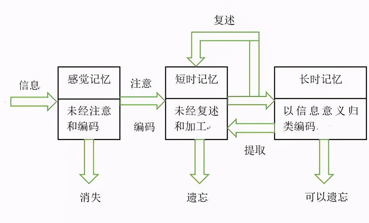 为什么会失忆
