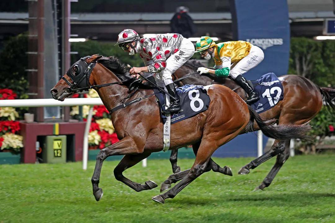 红朗姆马粮潘顿时隔两年二度胜出香港国际骑师锦标赛四场赛事1冠1亚1