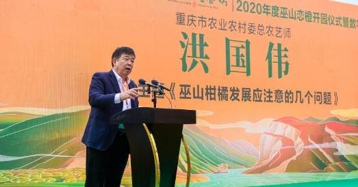 67智慧化赋能数字化转型巫山恋橙数字化产业发展峰会圆满结束