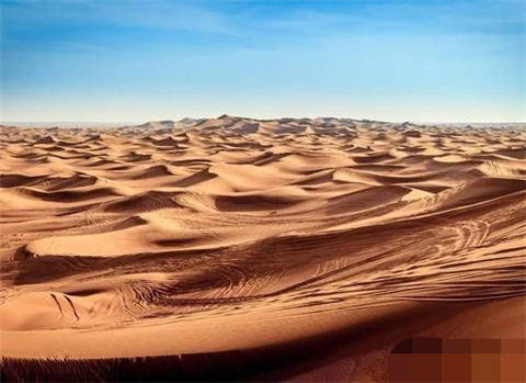 世界上最大的沙漠之一，连续下24小时雨，当地人为何不喜反忧