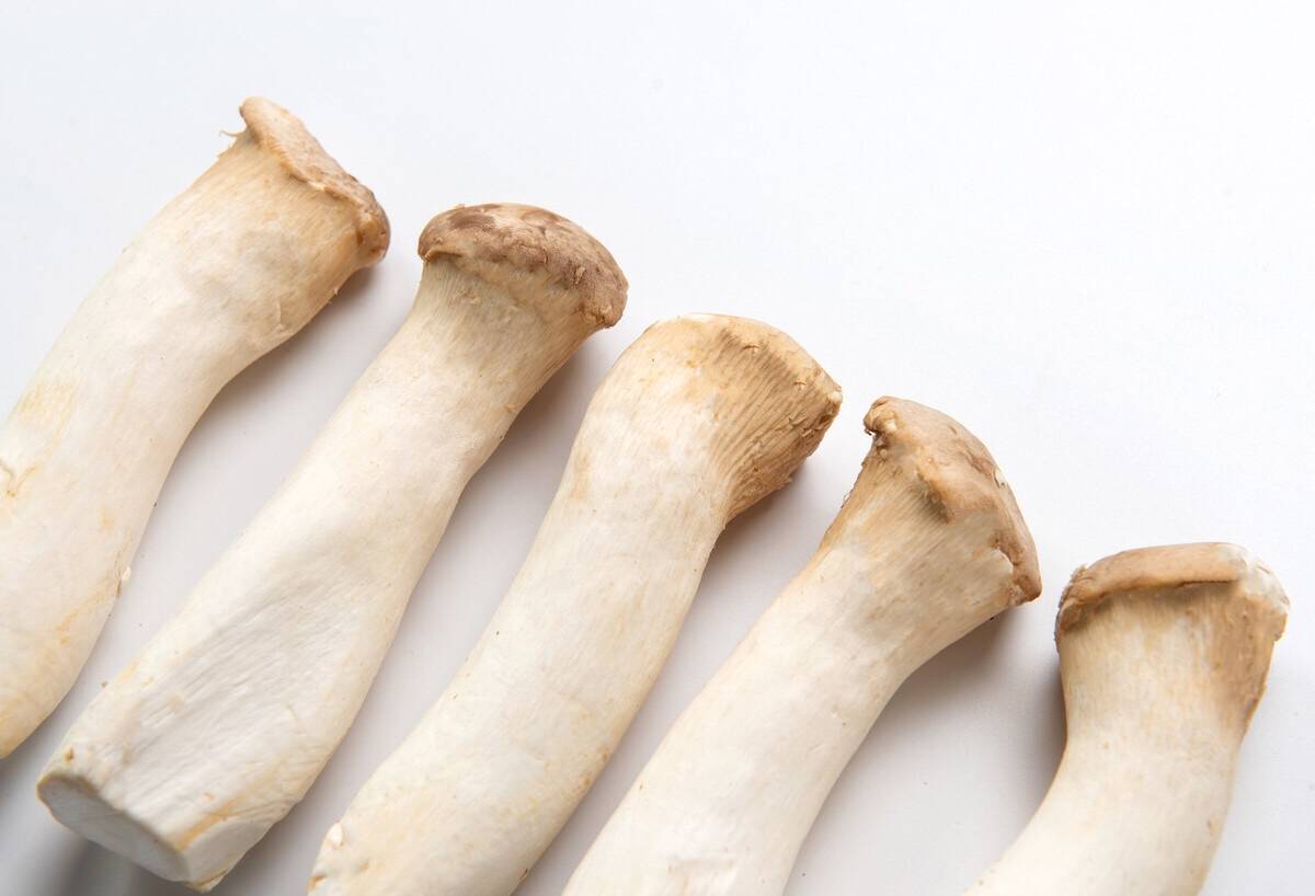 杏鲍菇不蒸不凉拌这样做简单又开胃下饭我家每周都要吃一次