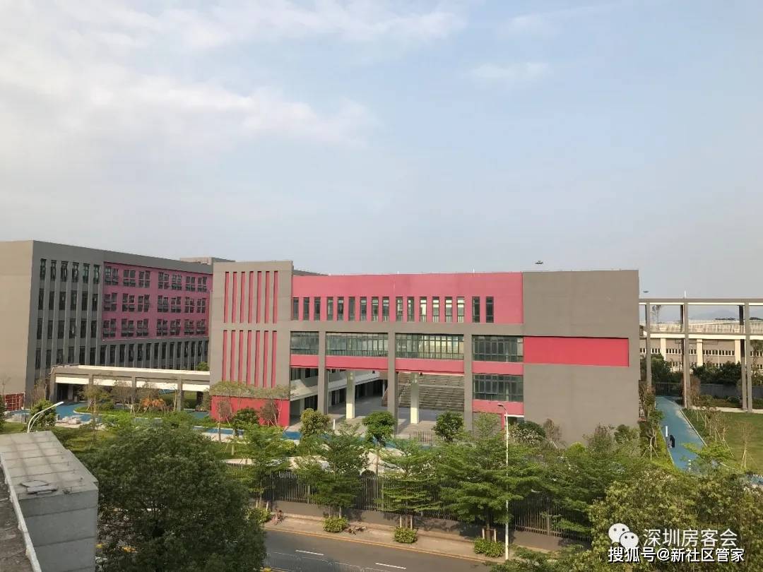 深圳湾学校:富人抛弃的,中产在疯抢