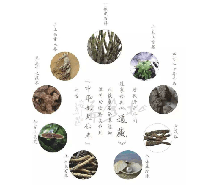 居然这才是中华"九大仙草"排行榜!