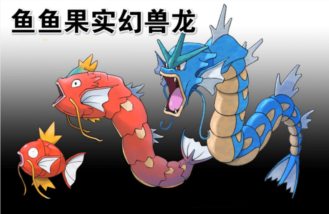 四皇凯多果实类别揭晓鱼鱼果实幻兽龙号称海贼王第一幻兽果实