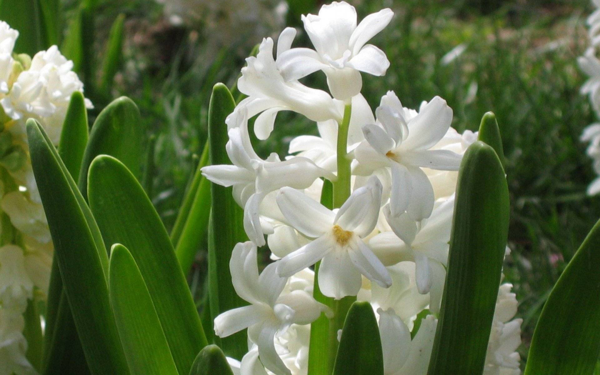 原创12月18日22日星座运势白羊保持冷静天秤拓展人脉水瓶迎接挑战