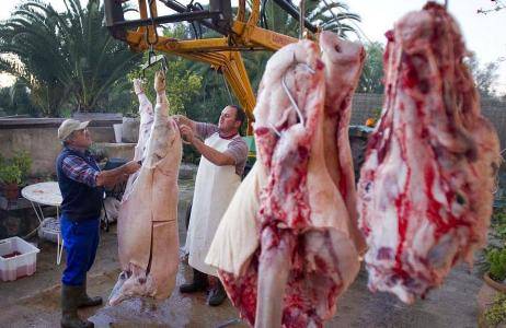 人死后为什么很快发臭,而猪肉不会那么快发臭?