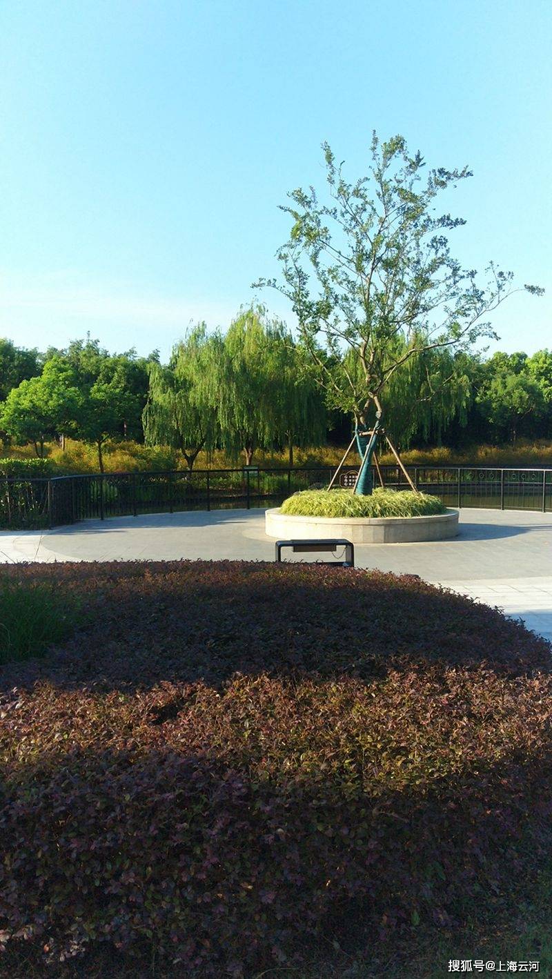 上海浦东金葵绿地公园3