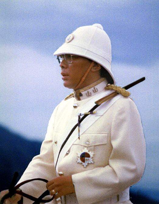 学会活着,体验这颗高贵的心_手机搜狐网