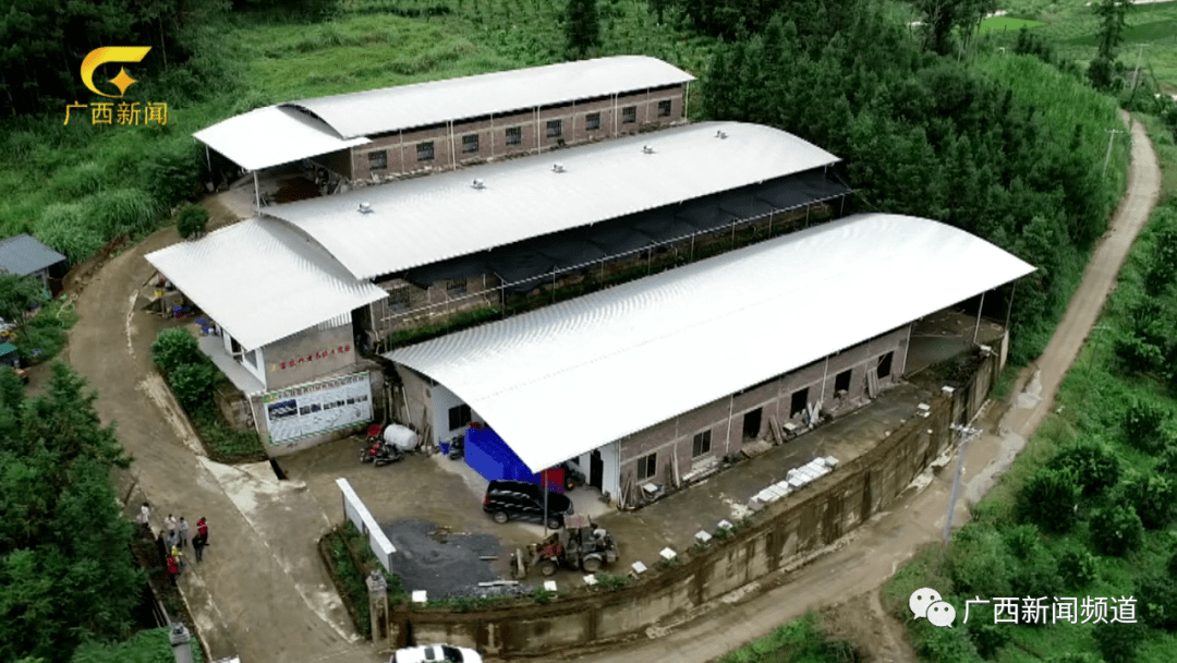 竹虫养殖公司给农户开出的收购价;个别地区最高50%的转型率,这是广西