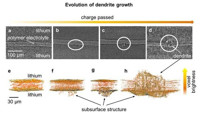 显微镜下锂电池锂枝晶生长