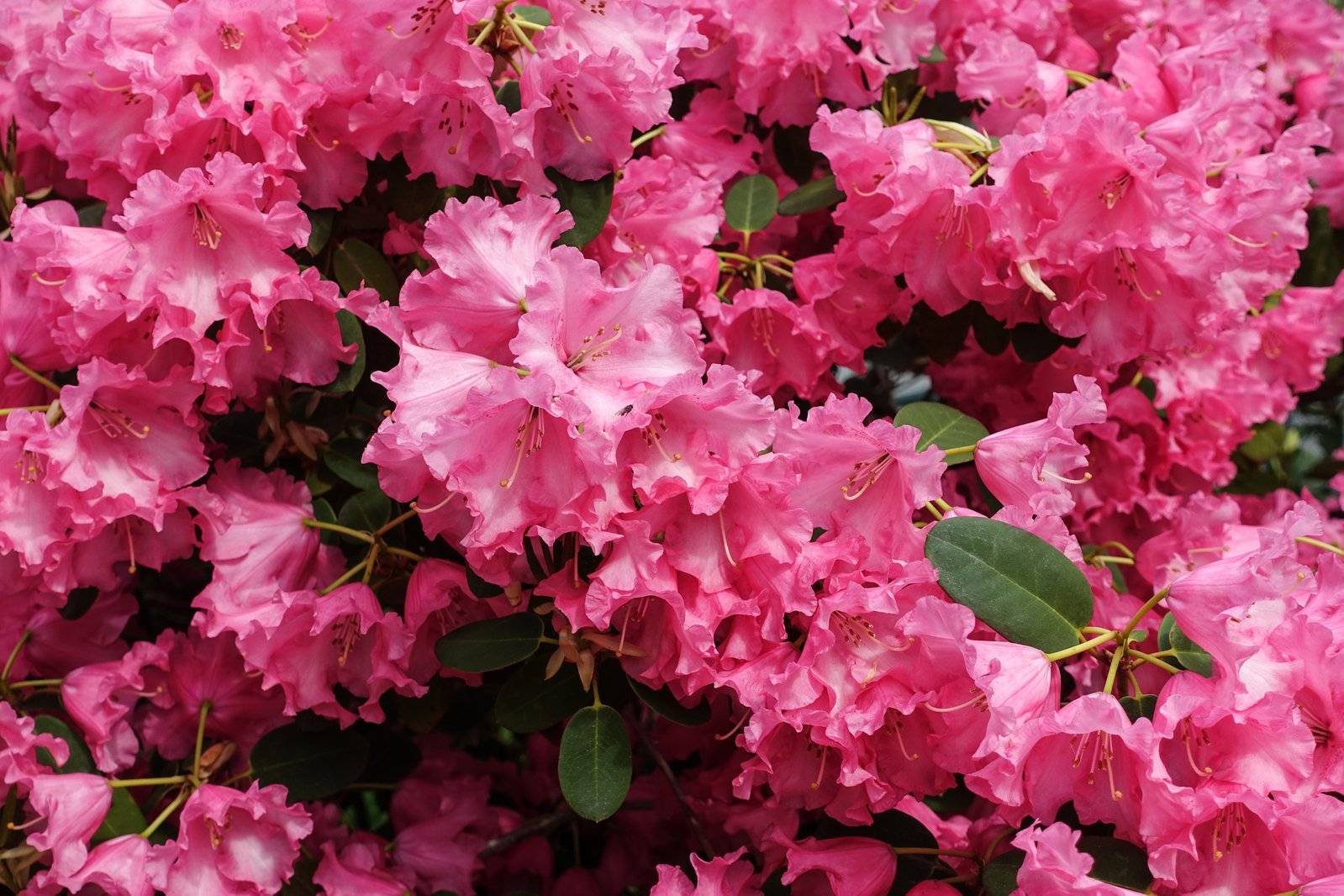 在外打工不要让父母担心好好照顾好自己是对父母家人的关爱