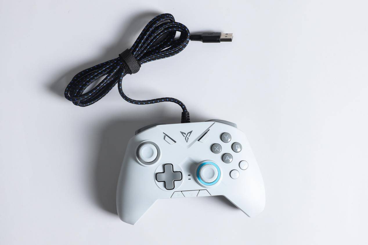 飞智黑武士2评测:扎实做工 稳定可靠品质,这个手柄不一般_手机搜狐网