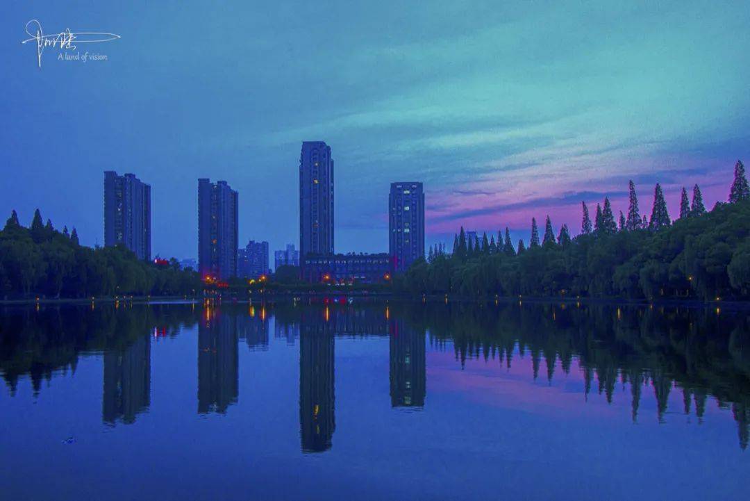 曾经的浙江农业大学，如今却与“楼王”相伴，只剩华家池风光如故