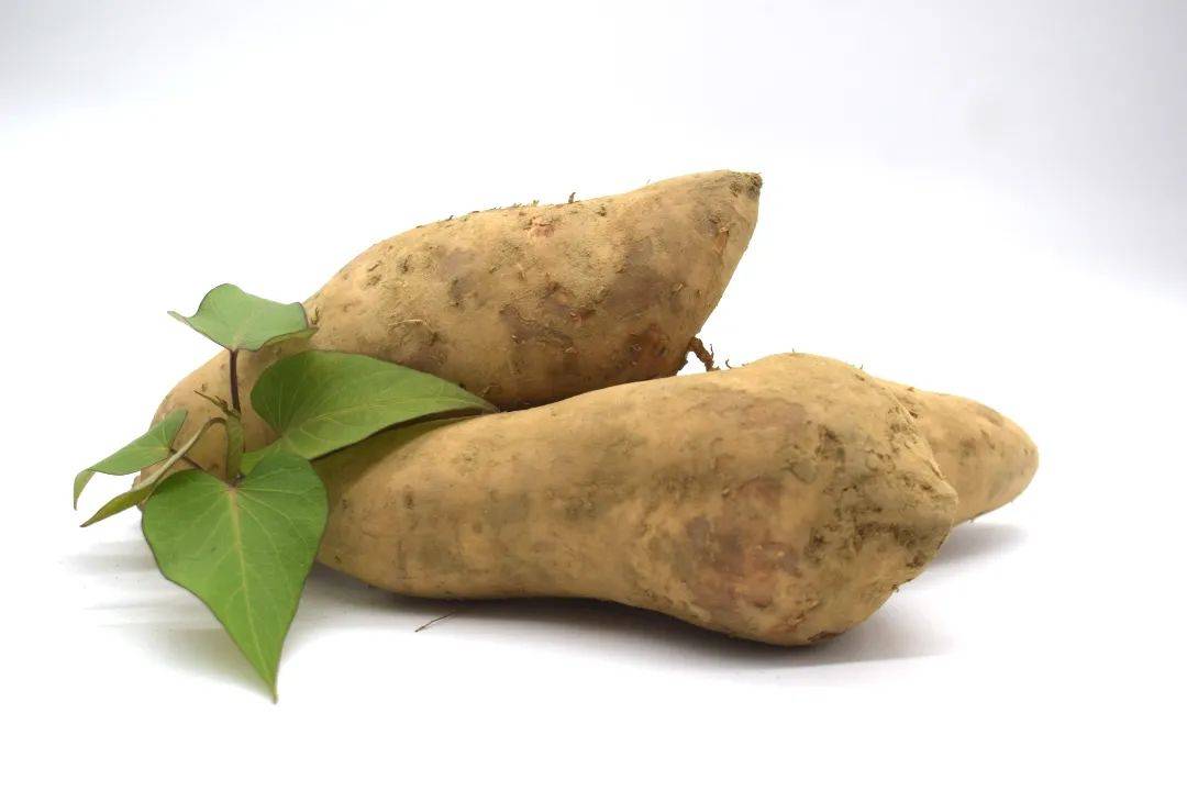 上班族的冬日零食:阳山特产番薯干,入口甜糯,吃一口就上瘾!