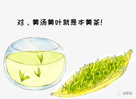 黄茶黄变茶是怎么变黄的