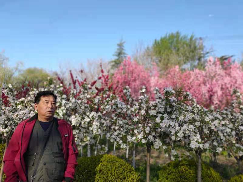 中国美术家协会会员李炳辉国画鉴赏