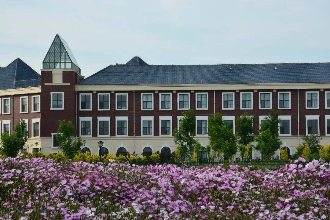 山东潍坊新纪元学校2021年优秀教师招聘简章