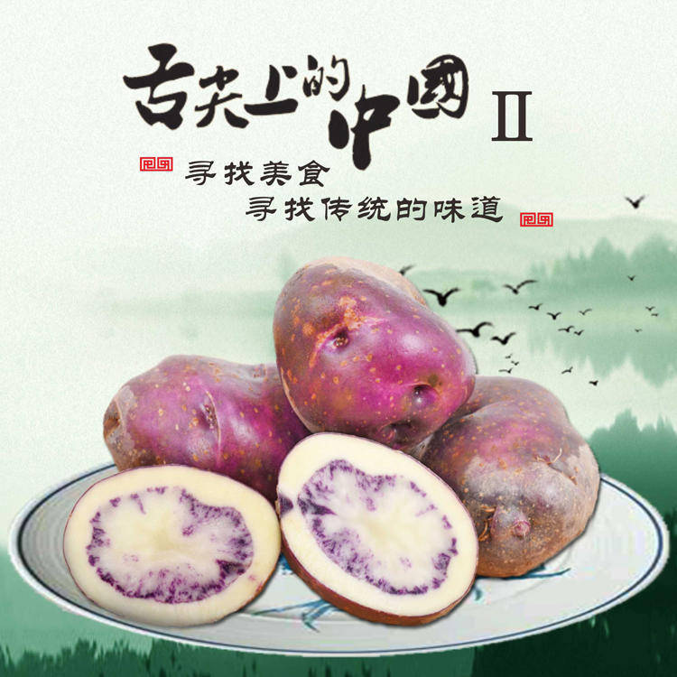 凉山人美味之凉山会东七彩洋芋