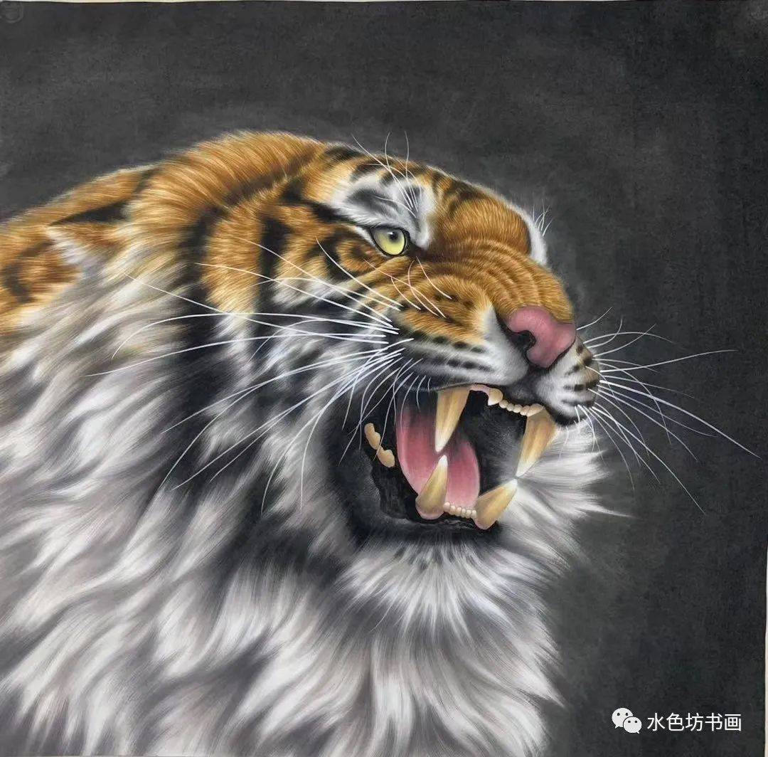 画家专栏│王建辉虎卧中堂万事吉祥