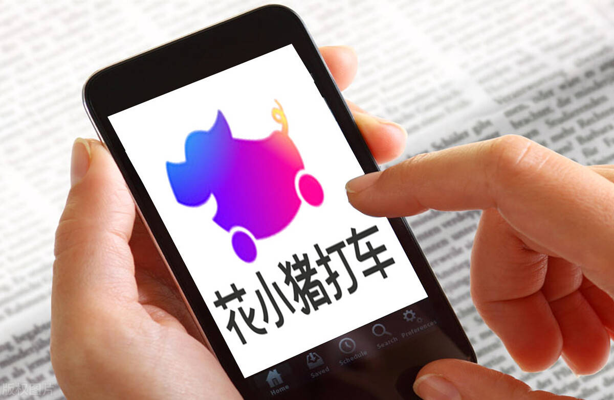 为何不看好花小猪?_手机搜狐网