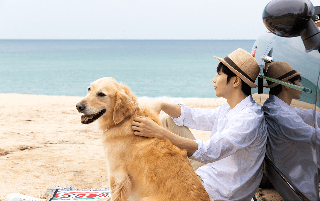 为ta而来2021上海单身生活秀邀你体验另一种生活方式