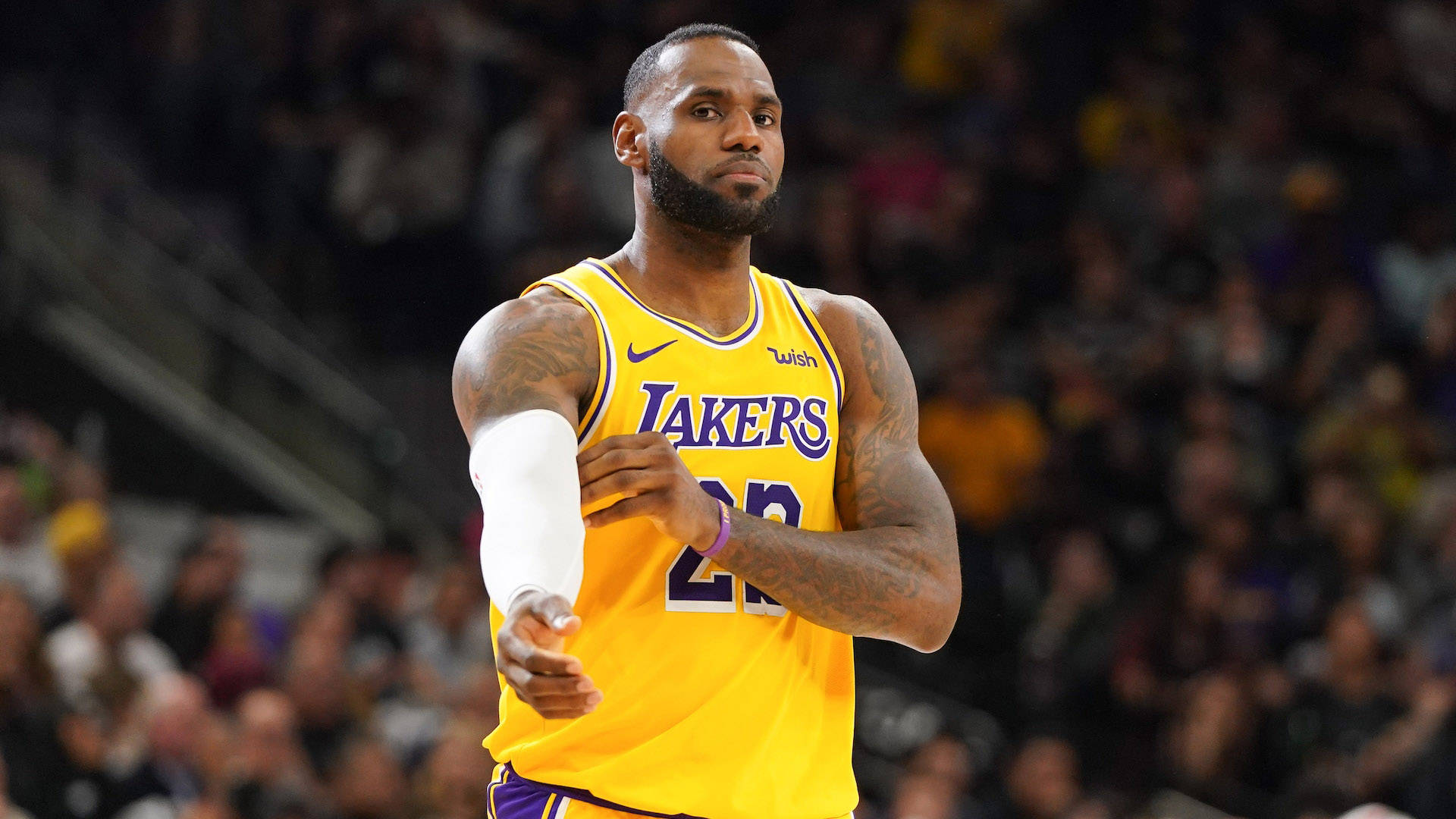 老詹乔丹"山羊之争"又引热议!奥胖给看法,著名詹黑开怼詹蜜