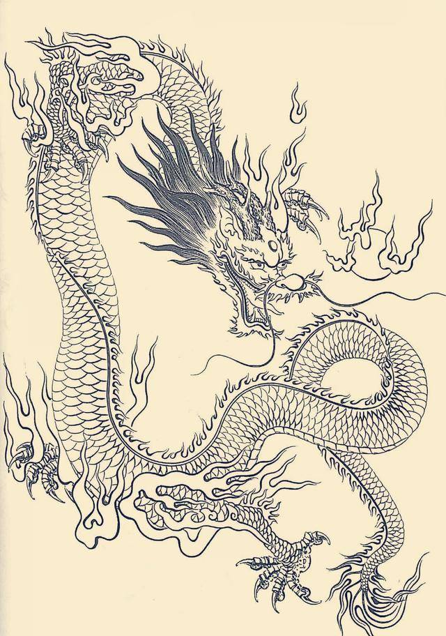 中国龙的画法 素描图片