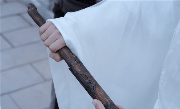 陈情令:在岐山教化司,避尘被冷待,含光君眼里只有"随便"!