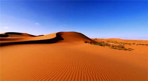 沙漠底下为何不能挖？因为除了沙子外，还有一些想象不到的东西！