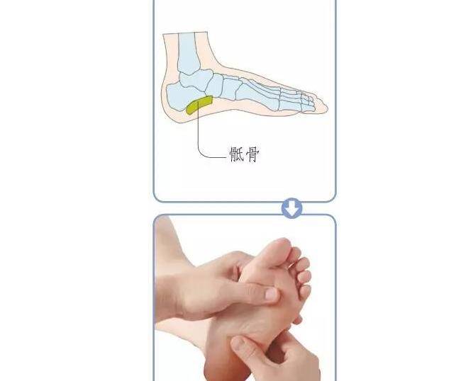 10個特效反射區,活血通絡補五臟,通調全身病_主治