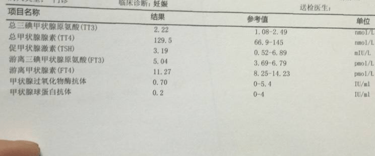 甲状腺报告单图片