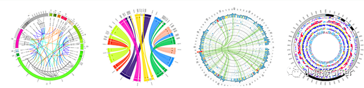 零代码搞定弦图桑基图datafocus挑战秒级数据分析