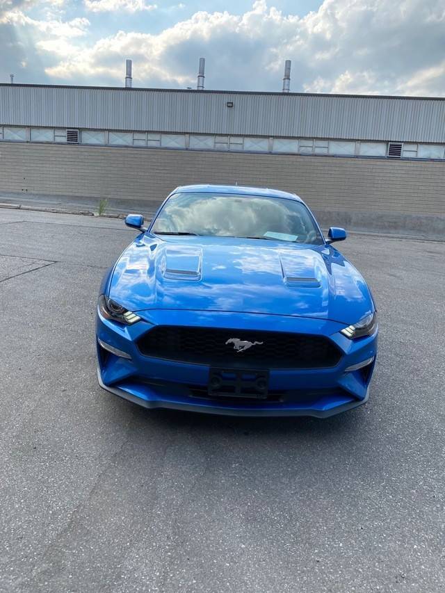 进口20款福特野马热降全国 全民跑车大马力