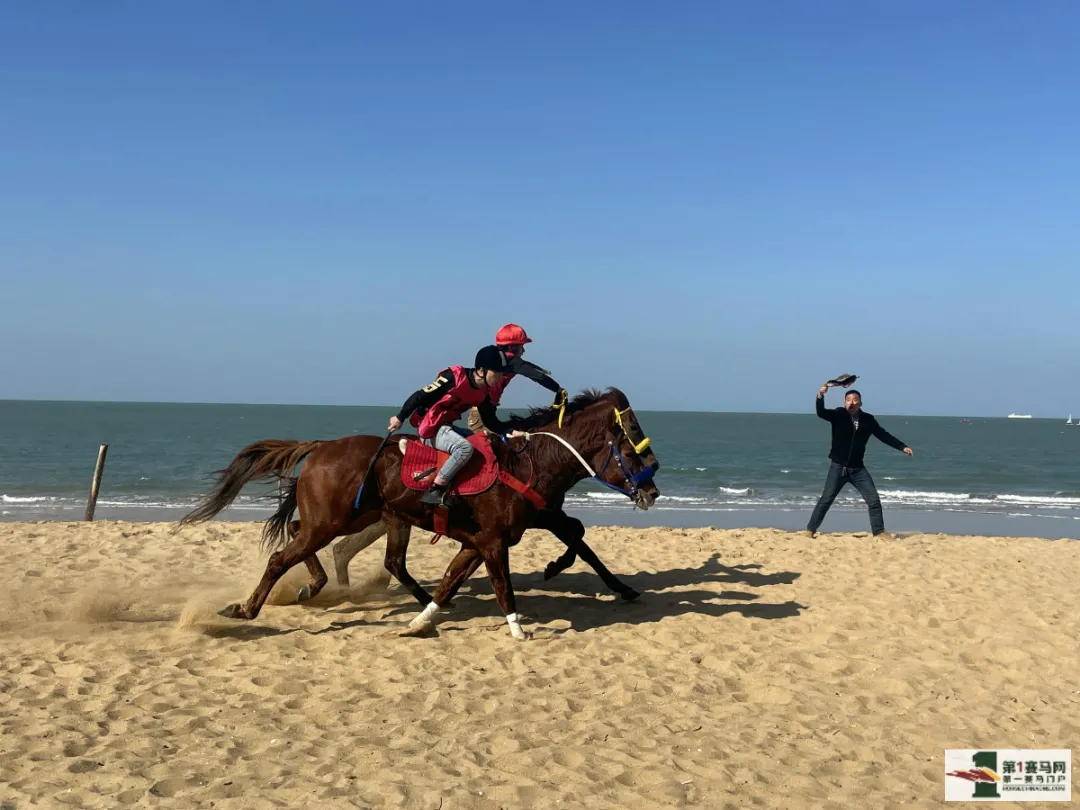 盤點海南賽馬三年之殤