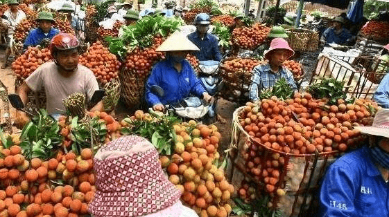 越南游客好奇：为何这东西这么贵，中国人却能经常吃？导游不吱声
