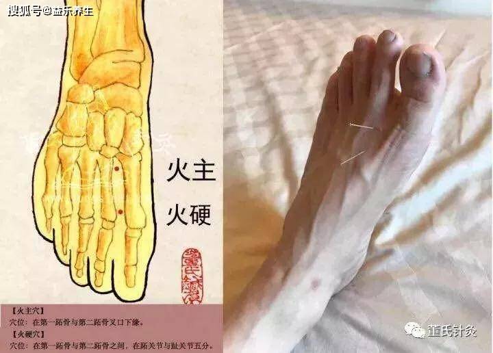 火主火硬:心属火,故知能治心 