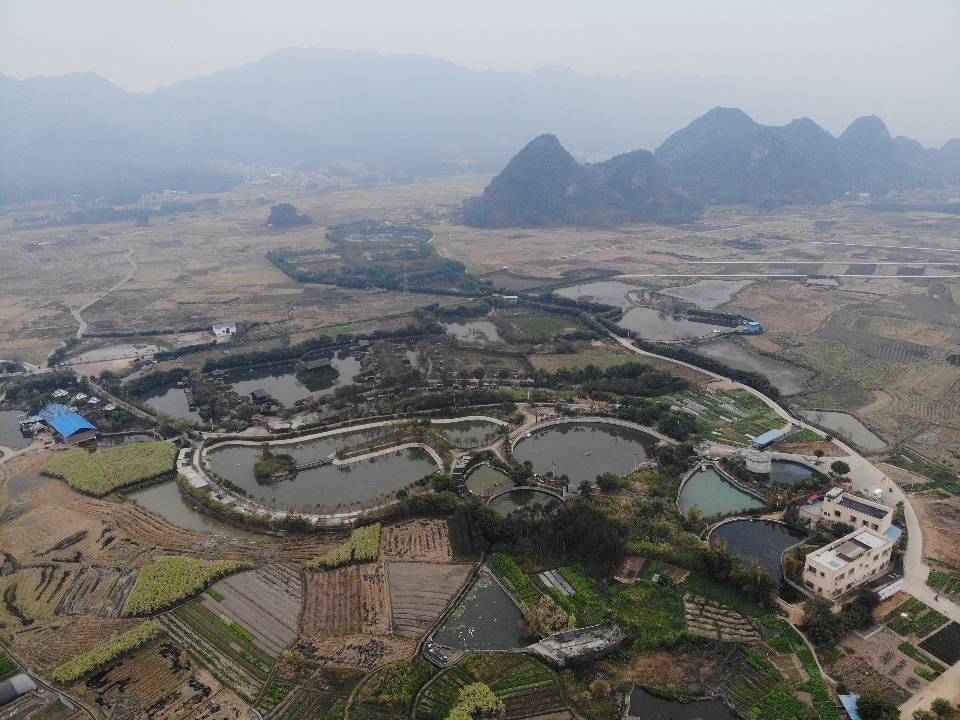 罗敏文化传媒携书法家康祝庆到武宣县螺山生态园送福_桐岭镇