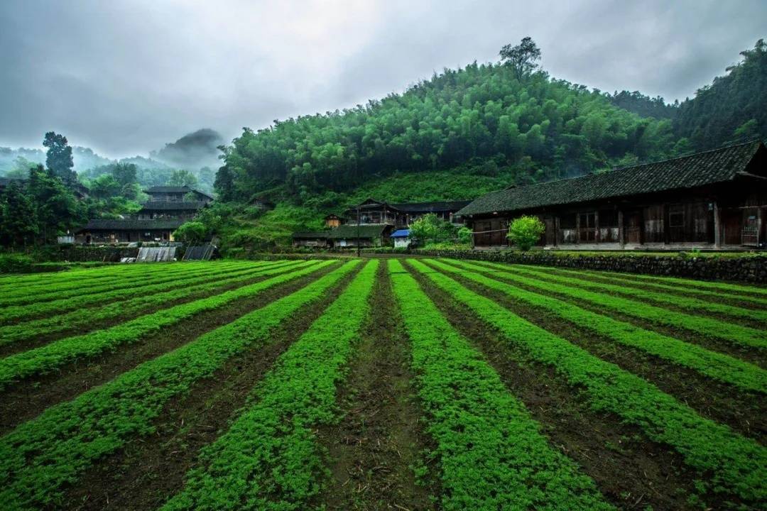 张家界牧笛溪一条特别讲究仪式感的山涧