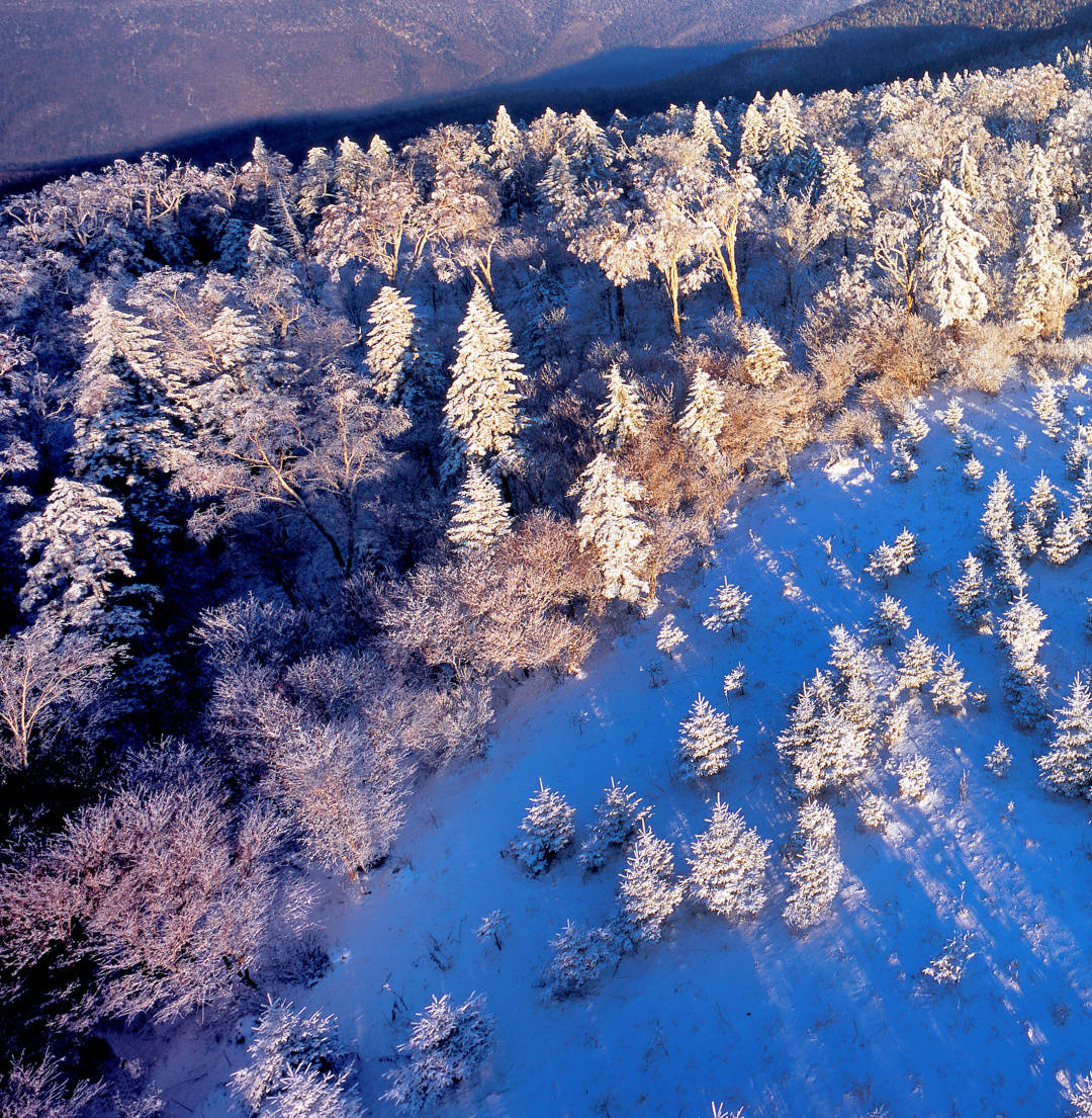 浓妆素裹两相宜冰雪文旅体验官再赴长白山12度粉雪盛宴