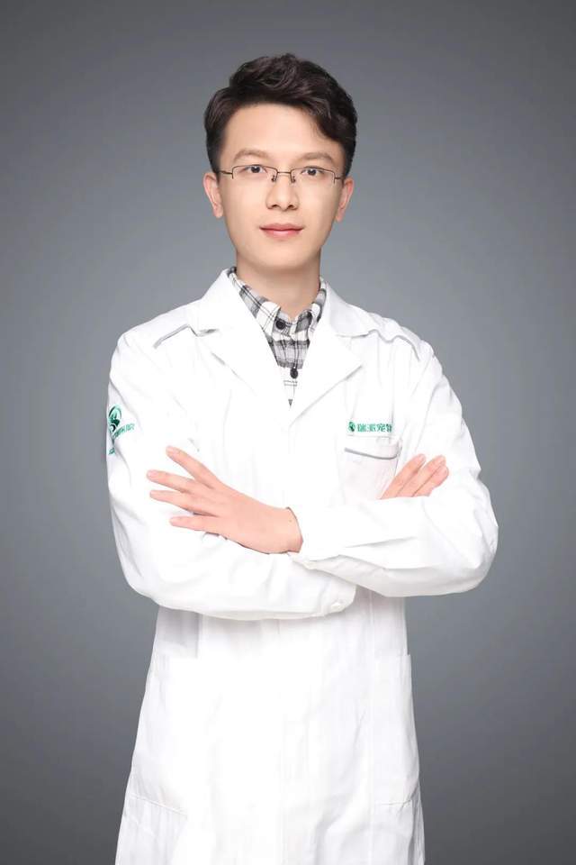 走近瑞派宠医冯志伟院长沉住气才能扎下根