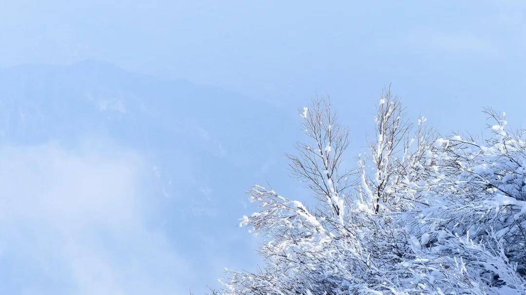峨眉山的冬天有多美，你可以亲自来看看