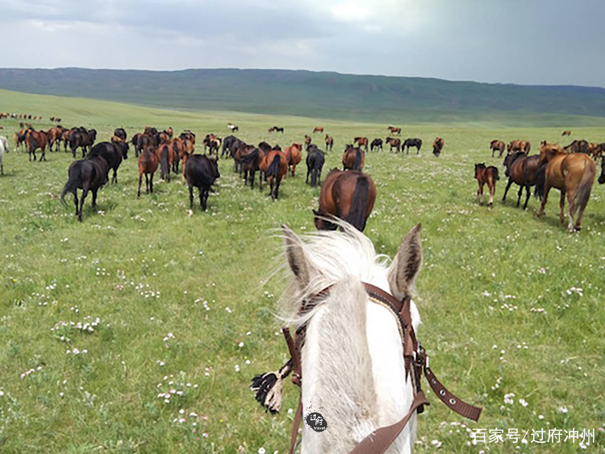 世界最大的马场在中国，汉代就在这开始养马，现在是旅游好去处